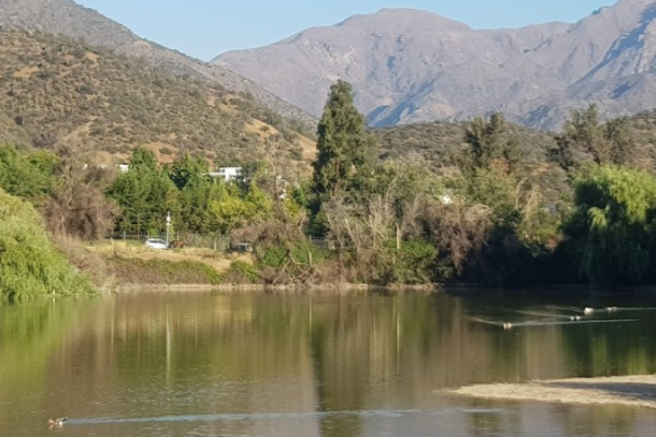 Humedales Urbanos: Tribunal rechaza reclamación de Inmobiliaria de Deportes La Dehesa que buscaba desestimar protección de superficie en Lo Barnechea