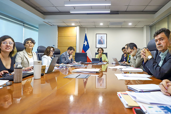 En el Comité de Ministros participaron la ministra del Medio Ambiente, Maisa Rojas,quien presidió dicha instancia, y los titulares de Salud, Ximena Aguilera; de Economía, Nicolás Grau; de Agricultura, Esteban Valenzuela; de Energía, Diego Pardow; y de Minería, Marcela Hernando.