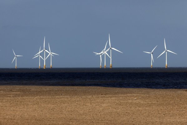 Para que el sector crezca lo suficiente como para evitar un cambio climático catastrófico se necesitarán miles de millones de dólares de inversión adicional.