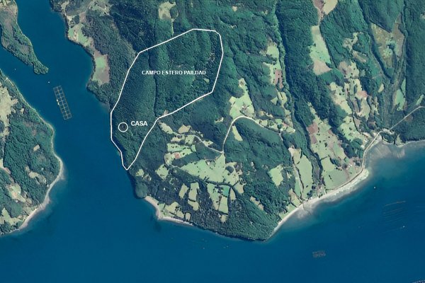 El parque de conservación que planea el productor Juan de Dios Larraín en Chiloé