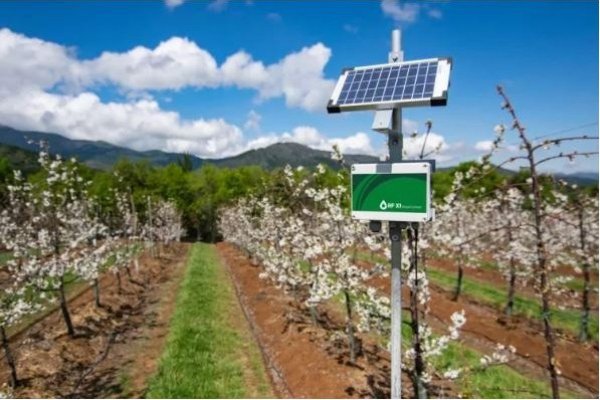 <p>Chilena Wiseconn espera crecer 40% en 2023 y apostará a expandirse a Brasil tras levantamiento de capital</p>