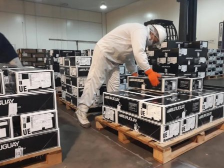 <p>Mayor exportadora de carne de Brasil compra matadero en Uruguay por US$ 40 millones</p>