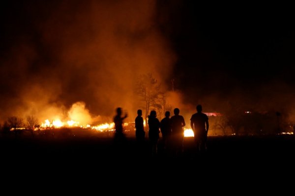 Incendios forestales en la Región del Ñuble.