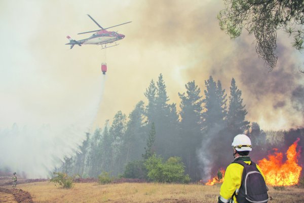 Por qué el cambio climático incide en la frecuencia e intensidad de los incendios forestales en Chile