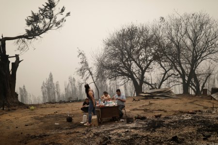 <p>Ola de incendios forestales continúa arrasando centro sur de Chile</p>