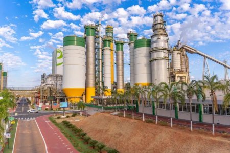 <p>Justicia brasileña reabre el camino para que gigante celulosa tome el control de productora Eldorado</p>