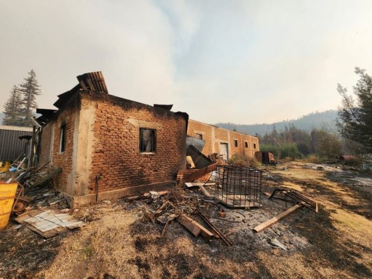 Primeros reportes de productores de frutas aluden a desolador panorama en zonas afectadas por los incendios