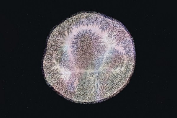 Lágrimas de solastalgia: Una exposición de arte que llora el cambio climático
