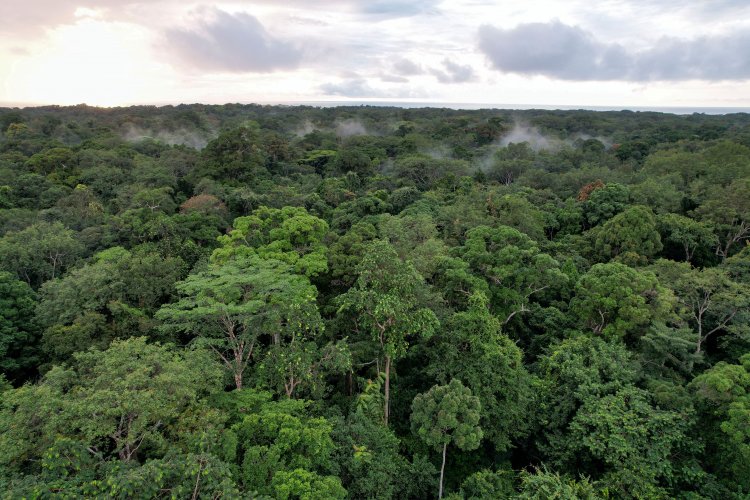 <p>Brasil conversa con Chile, México, Colombia y Alemania sobre su proyecto para emitir bonos verdes</p>