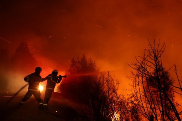 Cambio climático y forestales: expertos piden que nuevos proyectos ingresen al SEIA y mejorar manejo