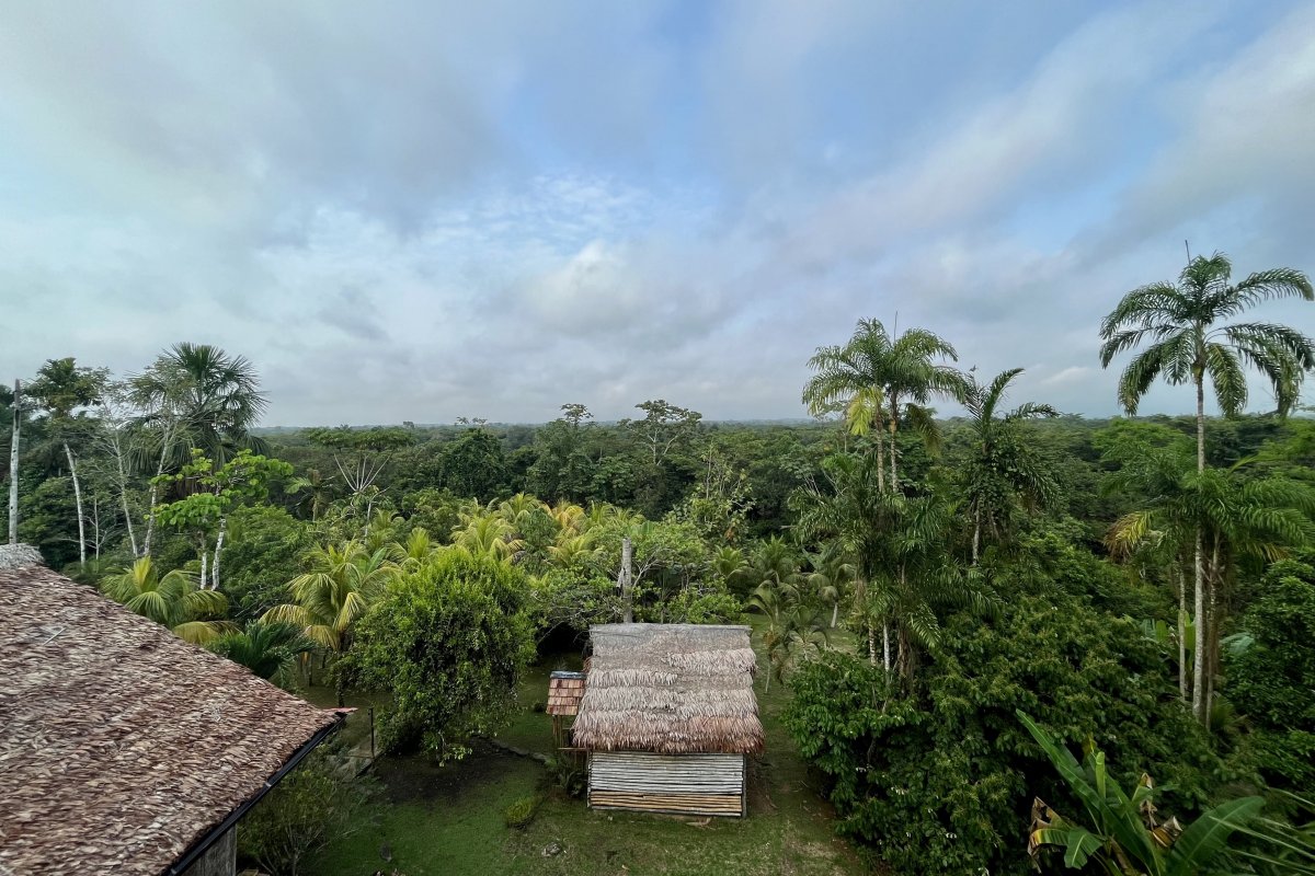 <p>La huella chilena en el Amazonas peruano</p>