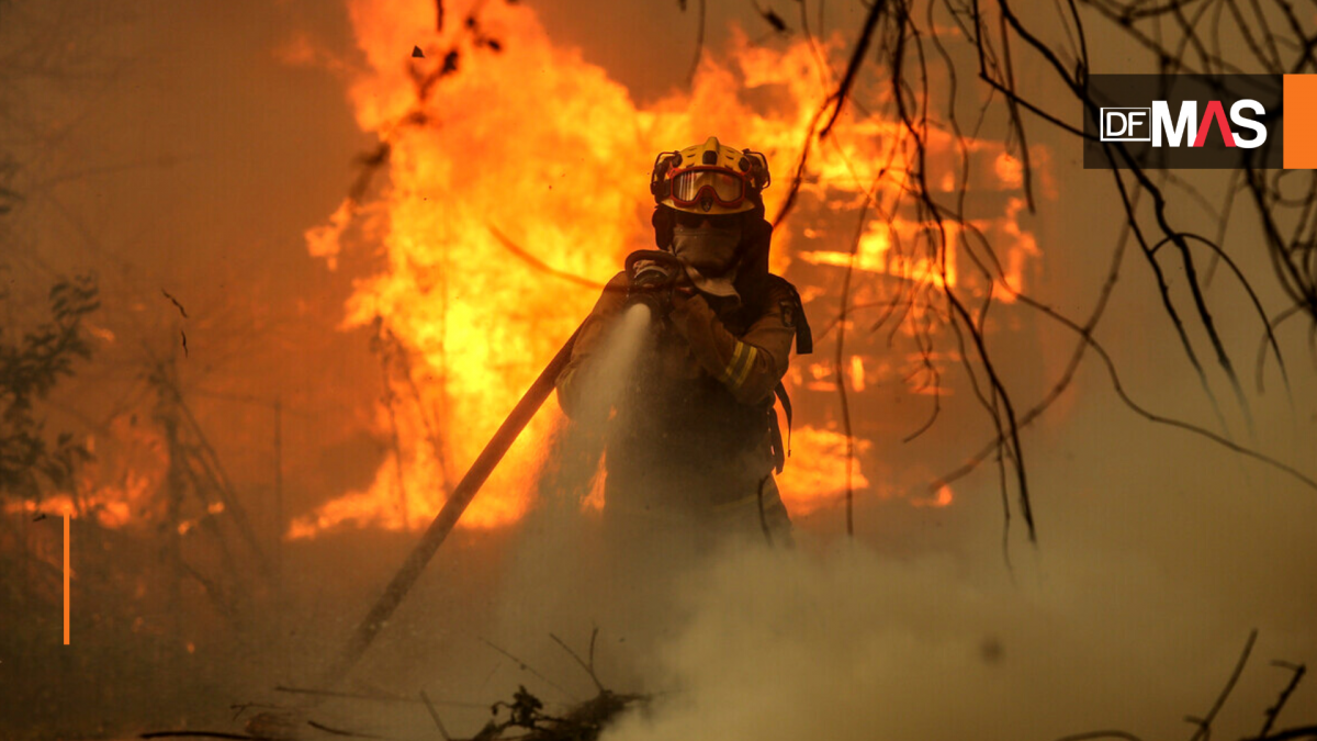 <p>Los testimonios de los afectados por los incendios en el Sur</p>
