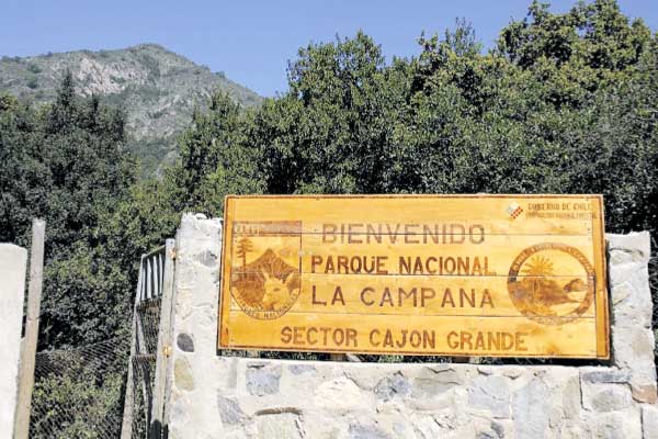 La mano dura ambiental contra el boom de las parcelas: SMA activó ofensiva contra loteos irregulares por todo el país