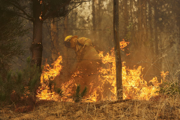 Saltos del Laja, Lago Lanalhue y Araucanía Andina: las zonas turísticas más afectadas por los incendios