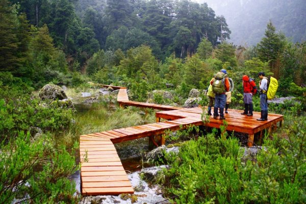 Los nuevos desafíos que enfrenta la arquitectura en áreas de conservación