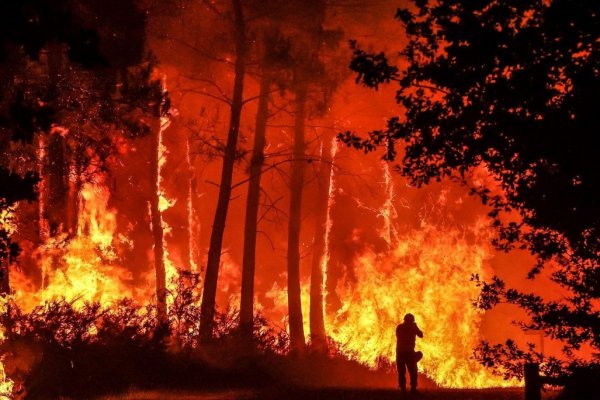 Incendios: Corma se reúne con Fiscal y entrega antecedentes de 731 denuncias y querellas