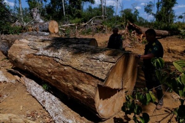 Amazonas / Reuters