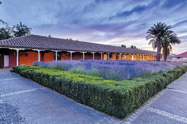 Ventas de Viña Santa Rita totalizaron $ 171.898 millones durante 2022