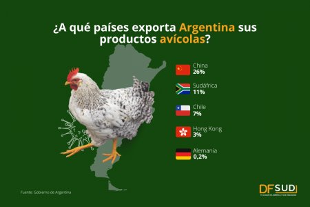 <p>Industria avícola en cifras: ¿Qué impacto tendrá la gripe aviar en Argentina y el mundo?</p>