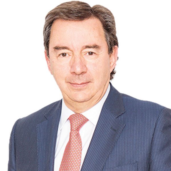 Oportunidad tributaria