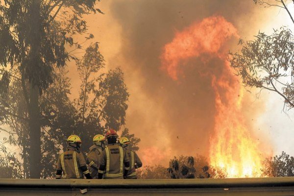 Los incendios contribuyeron probablemente a reducir entre un 3 y un 5% el ozono total en las latitudes medias del hemisferio sur.