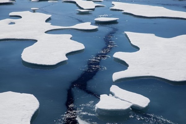 El IPCC concluirá la reunión el 17 de marzo próximo.