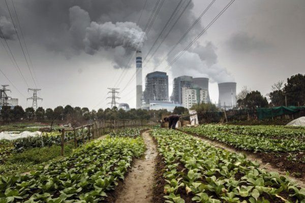 China acaparó el 72% de los futuros proyectos mundiales.