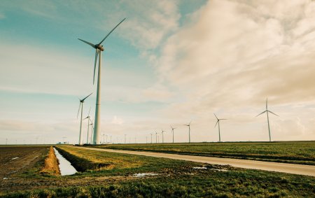 <p>Argentina apuesta por la energía verde y se ubica como el cuarto productor de renovables de la región</p>