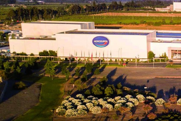 Gripe aviar en Chile: las 24 horas que marcaron la detección del primer caso en una granja de Agrosuper en Rancagua
