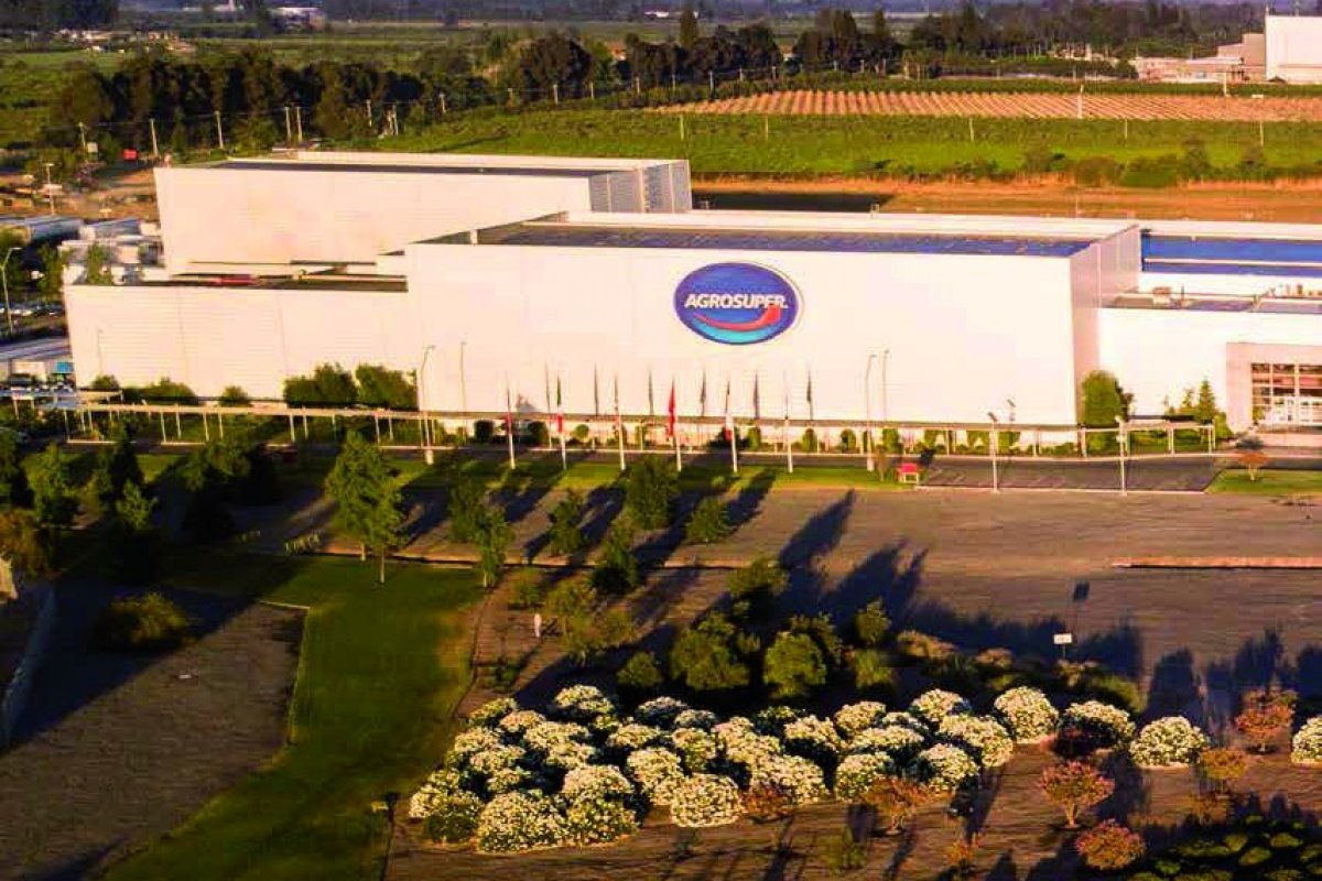 <p>Gripe aviar en Chile: las 24 horas que marcaron la detección del primer caso en una granja de Agrosuper en Rancagua</p>