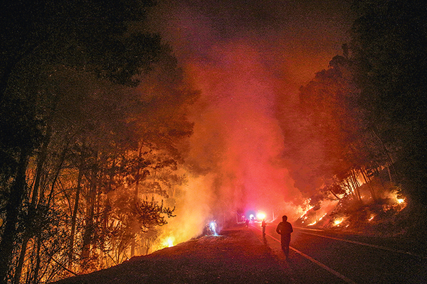 Incendios: balance de pérdidas supera los US$ 250 millones en los sectores agrícola y forestal