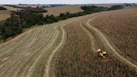 Brasil busca inversión china en infraestructuras agrícolas