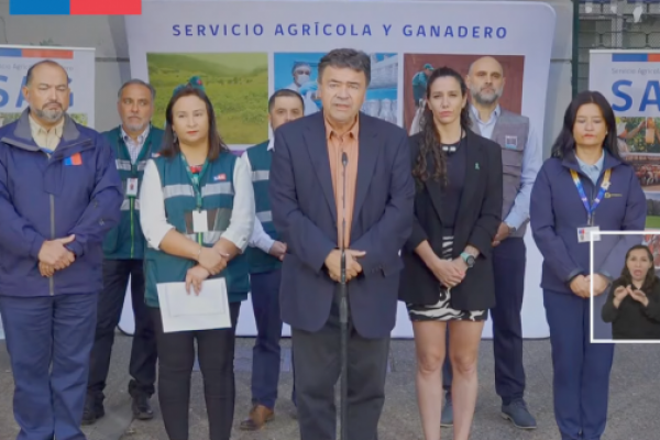 <p>Ahora en DF | Gobierno descarta gripe aviar en peces y mariscos y asegura que no afecta al consumo de estos como alimento</p>