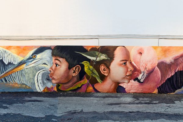 VitrinaLab, la plataforma que busca visibilizar artistas chilenos en Estados Unidos