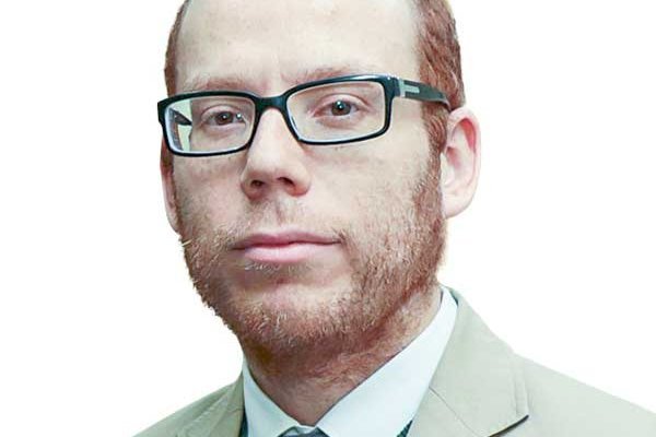 Nudo ciego en el sector eléctrico: ¿y si fueran paltas?