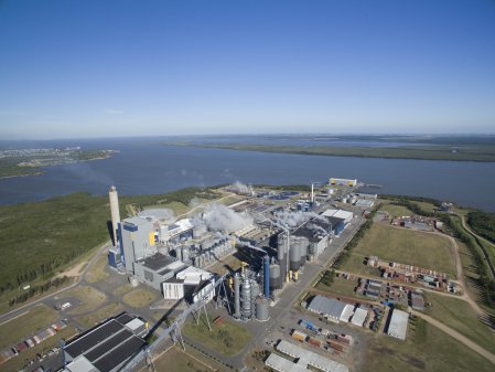 Finlandesa UPM recibe luz verde para empezar a operar su segunda planta de celulosa en Uruguay