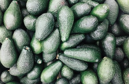 La explosión de palta Hass en Perú podría abrir una caja de Pandora