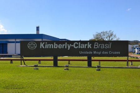 Regulador brasileño da luz verde a Suzano para comprar activos de Kimberly-Clark