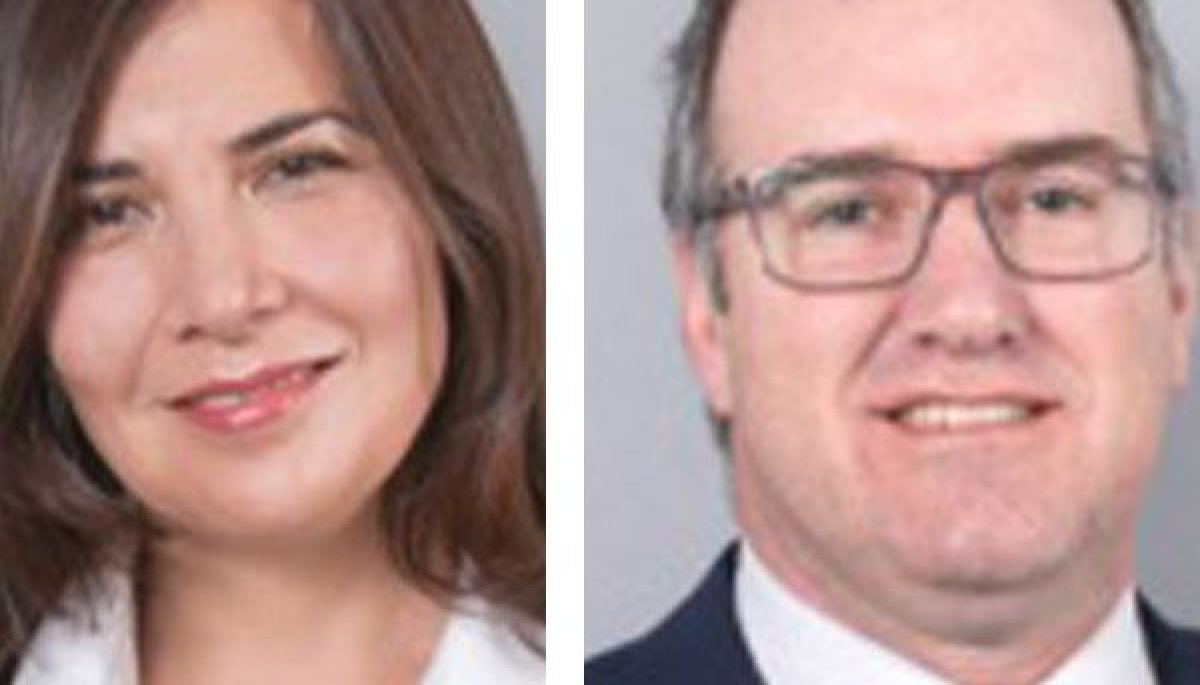 DF Tax Más impuestos verdes en el horizonte Diario Financiero