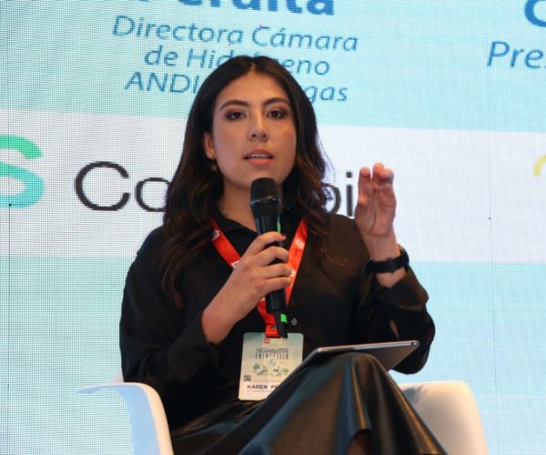 <p>Cámara colombiana de Hidrógeno afirma que para ser competitivo" dependerá de las inversiones en tecnología"</p>