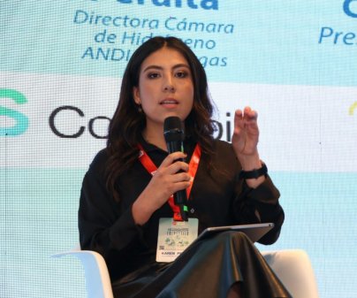 Cámara colombiana de Hidrógeno afirma que para ser competitivo" dependerá de las inversiones en tecnología"