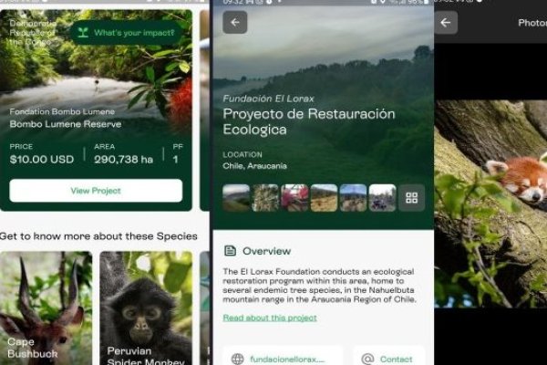 Entre los 105 proyectos, hay de conservación de ecosistemas de bosques, protección de animales en extinción y del recurso hídrico.