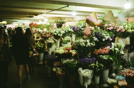 Brasil, el imponente nuevo mercado que se abre para las flores de Perú