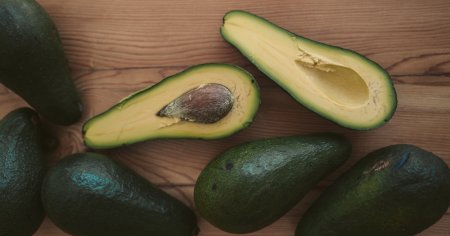 Agrícola peruana Pampa Baja duplica producción de palta y mira el arándano para ampliar portafolio