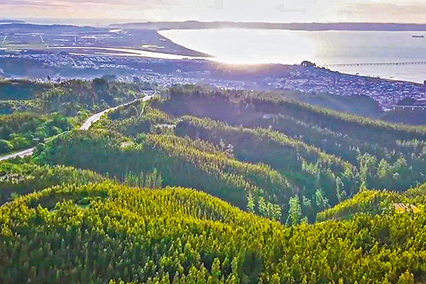 Proyecto de "tierras raras" en Penco sube inversión inicial a US$ 130 millones por mejoras técnicas y ambientales