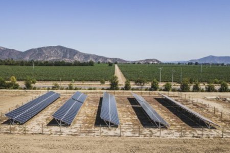 Viña Concha y Toro logra abastecer sus operaciones en Chile, Argentina y EEUU con energías renovables