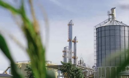 Argentina eleva precios de biocombustibles para mercado doméstico