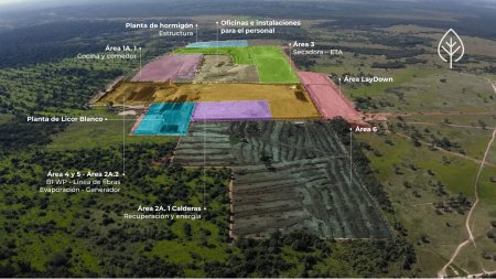 Gigante de la celulosa en Paraguay paraliza millonaria inversión por altos costos de endeudamiento en el mundo