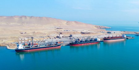 Puerto Paracas busca ser punto de salida directo de agroexportación para Perú