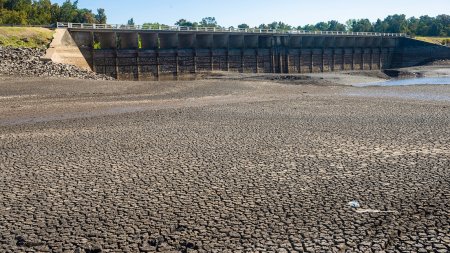 Crisis hídrica en Uruguay: impacto de salinidad en el agua se siente en las industrias que modifican procesos productivos